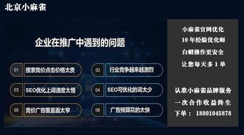 北京網站自然優化 全面打造卓越互聯網品牌形象與數據服務